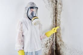 Best Mold Remediation for Healthcare Facilities in Tigard, OR